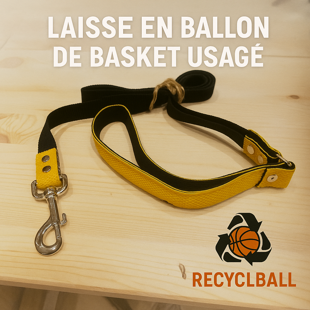 Laisse pour animaux en ballon basket recyclé