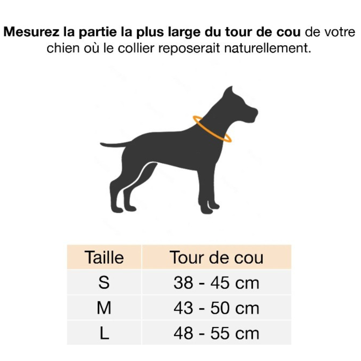 Collier pour chien en ballon de basket recyclé