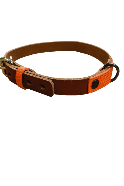 Collier pour animaux en ballon de basket recyclé