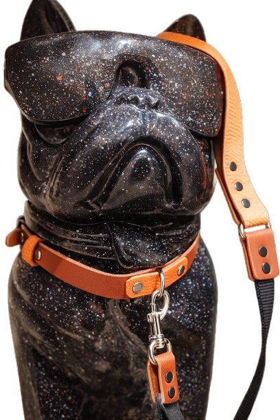 Collier pour animaux en ballon de basket recyclé