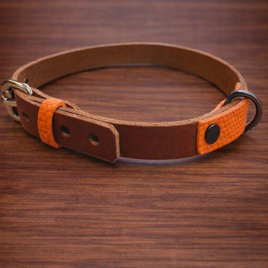 Collier pour animaux en ballon de basket recyclé
