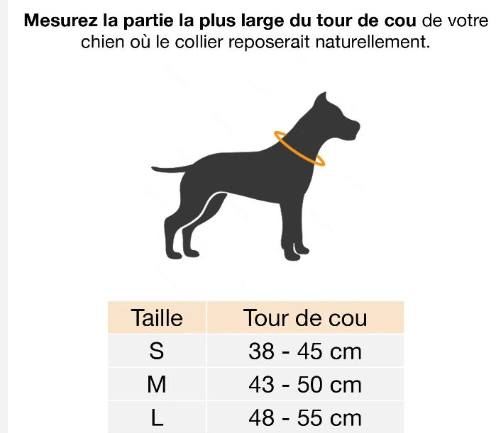 Collier pour animaux en ballon de basket recyclé